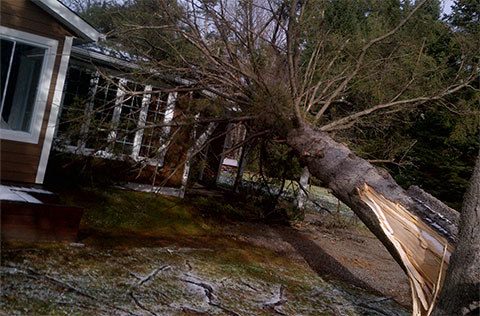 Arbre tombé sur maison